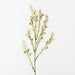 Wax Flower White 70cm Pack of 12
