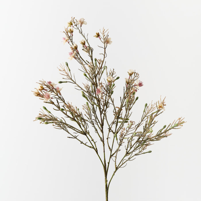 Wax Flower Champagne 85cm Pack of 12