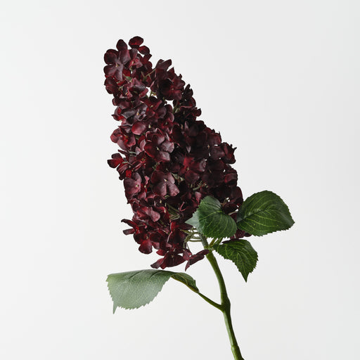 Hydrangea Cone Burgundy 91cm Pack of 6