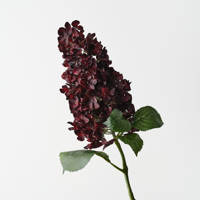 Hydrangea Cone Burgundy 91cm Pack of 6