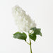 Hydrangea Cone White 91cm Pack of 6