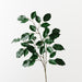 Ficus Spray Green 66cm Pack of 12