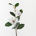 Magnolia Spray White 82cm Pack of 12