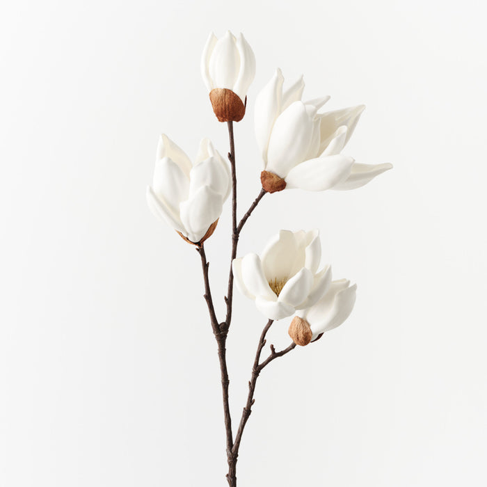 Magnolia Japanese Spray White 66cm Pack of 12
