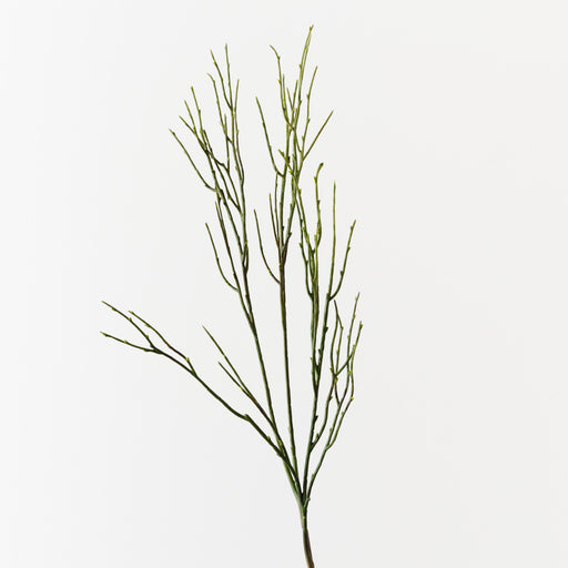 Twig Coral Spray Green 76cm Pack of 12