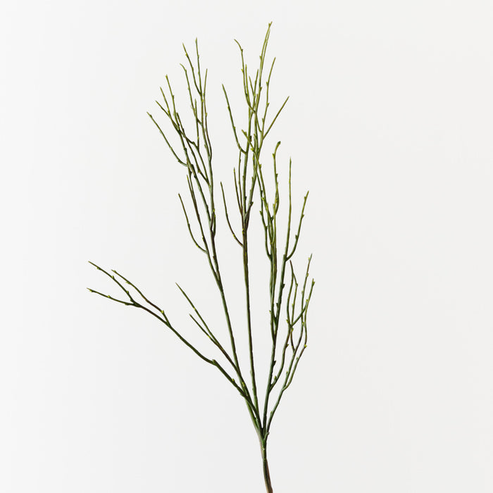 Twig Coral Spray Green 76cm Pack of 12