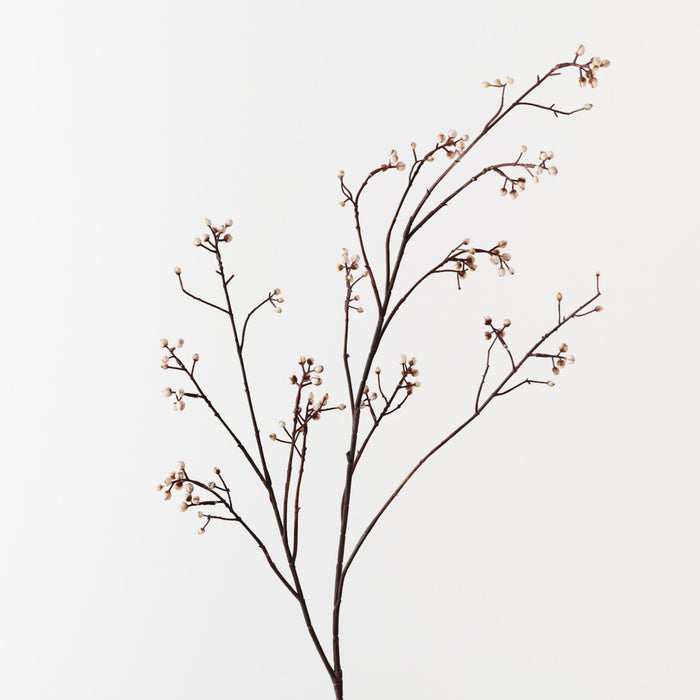 Tallow Spray Natural 117cm Pack of 12