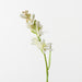 Tuberose Cream 43cm Pack of 12