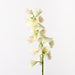 Fritillaria White 78cm Pack of 6