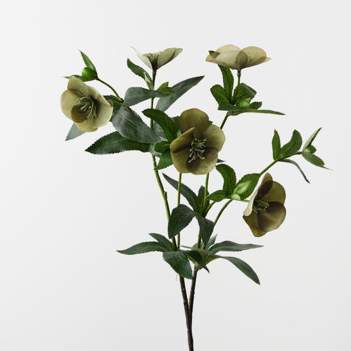 Hellebore Spray Green 74cm Pack of 12