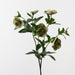Hellebore Spray Green 74cm Pack of 12