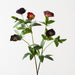 Hellebore Spray Wine 74cm Pack of 12