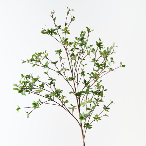 Enkianthus Leaf Spray Green 97cm Pack of 2