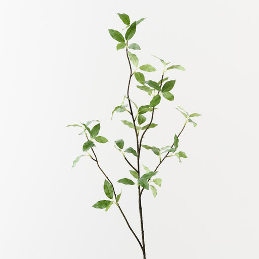 Pittosporum Leaf Spray Green 94cm Set of 12
