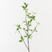 Pittosporum Leaf Spray Green 94cm Set of 12