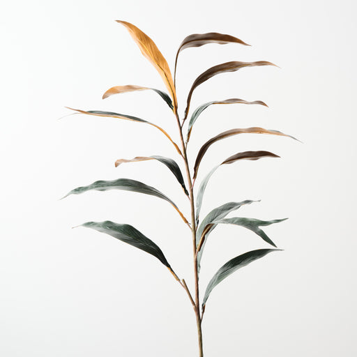 Grevillea Baileyana Leaf Spray Dark Green 100cm Pack of 12