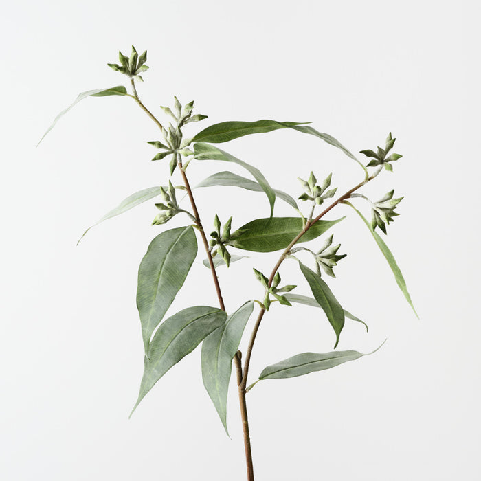 Eucalyptus Seed Spray Grey Green 75cm Pack of 12