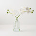 Orchid Phalaenopsis in Vase White 25cm x 20cm Set of 4