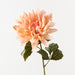 Dahlia Peach 60cm Pack of 12