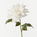 Dahlia White 60cm Pack of 12