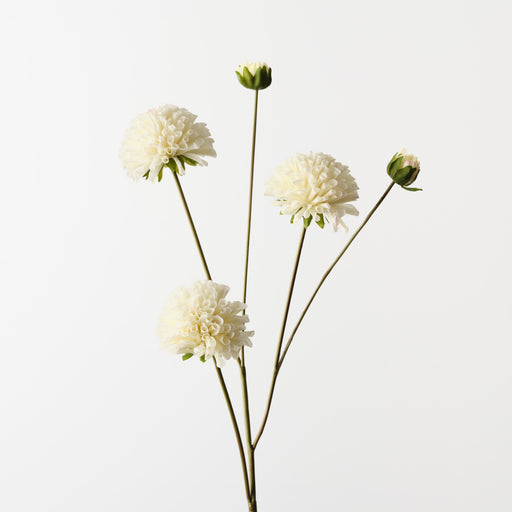 Dahlia Spray White 82cm Pack of 12