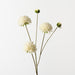 Dahlia Spray White 82cm Pack of 12