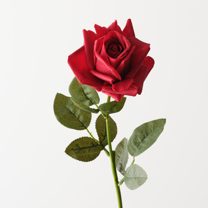 Rose Bettina Red 68cm Pack of 12