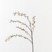 Berry Mini Spray Coffee 86cm Pack of 12