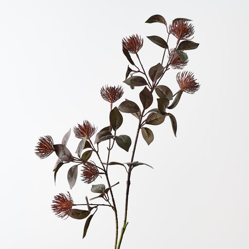 Protea Leucospermum Spray Burgundy 101cm Pack of 12