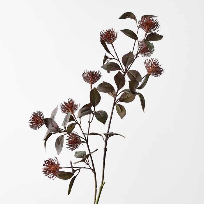 Protea Leucospermum Spray Burgundy 101cm Pack of 12
