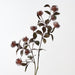 Protea Leucospermum Spray Burgundy 101cm Pack of 12