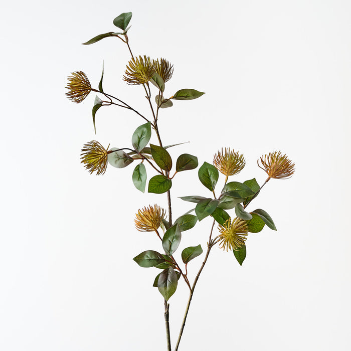 Protea Leucospermum Spray Rust 101cm Pack of 12