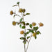 Protea Leucospermum Spray Rust 101cm Pack of 12