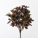 Schefflera Bush Burgundy Green 43cm Pack of 6