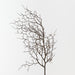 Twig Curly Spray Brown 83cm Pack of 12