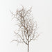 Twig Curly Spray Natural 83cm Pack of 12