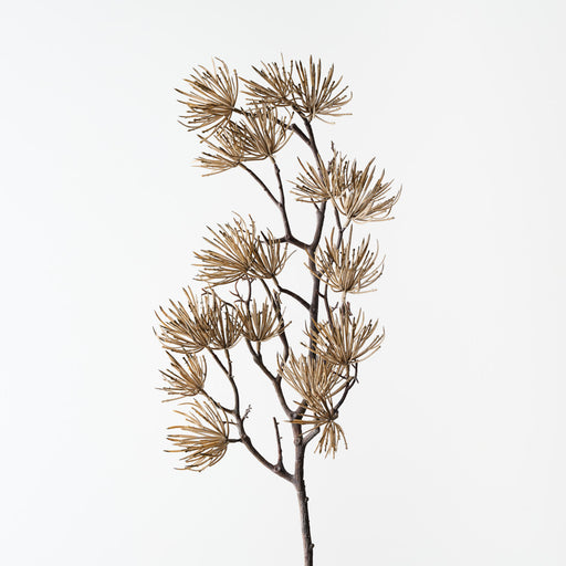 Thistle Spray Sand 73cm Set of 12