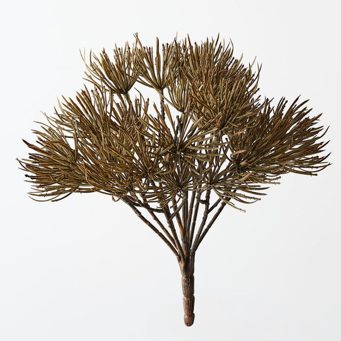 Thistle Bush Green Brown 25cm Set of 12