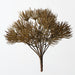 Thistle Bush Green Brown 25cm Set of 12