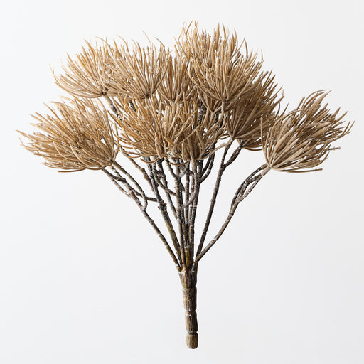 Thistle Bush Sand 25cm Set of 2