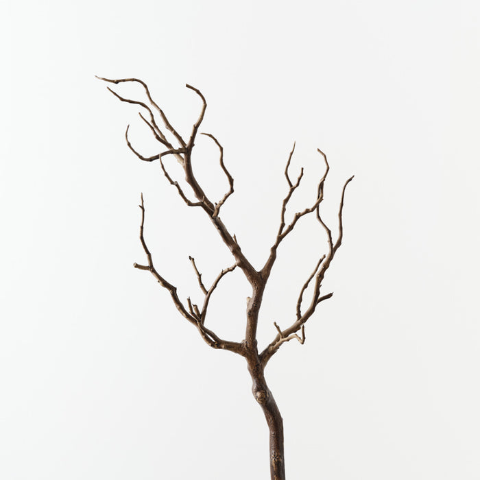 Twig Coral Branch Brown 66cm Pack of 12