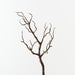 Twig Coral Branch Brown 66cm Pack of 12