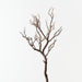 Twig Coral Branch Brown 92cm Pack of 6