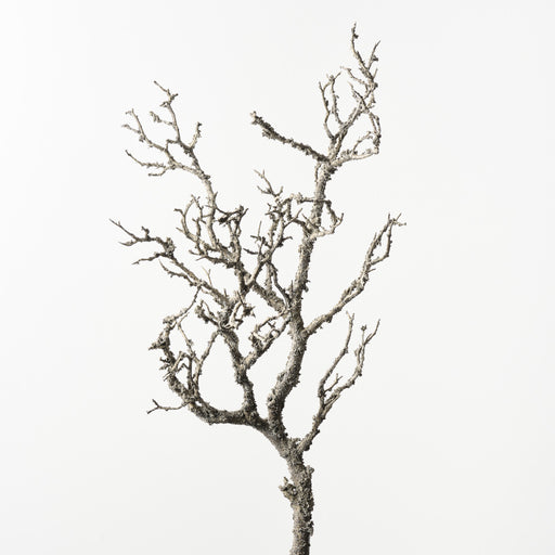 Twig Coral Branch Grey White 90cm Pack of 6