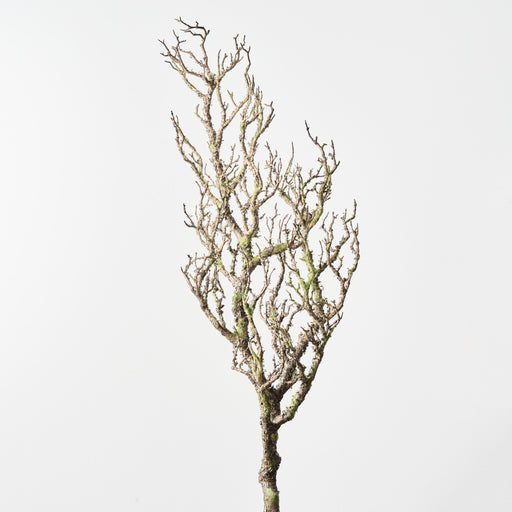 Twig Coral Branch Grey Green 115cm Pack of 4