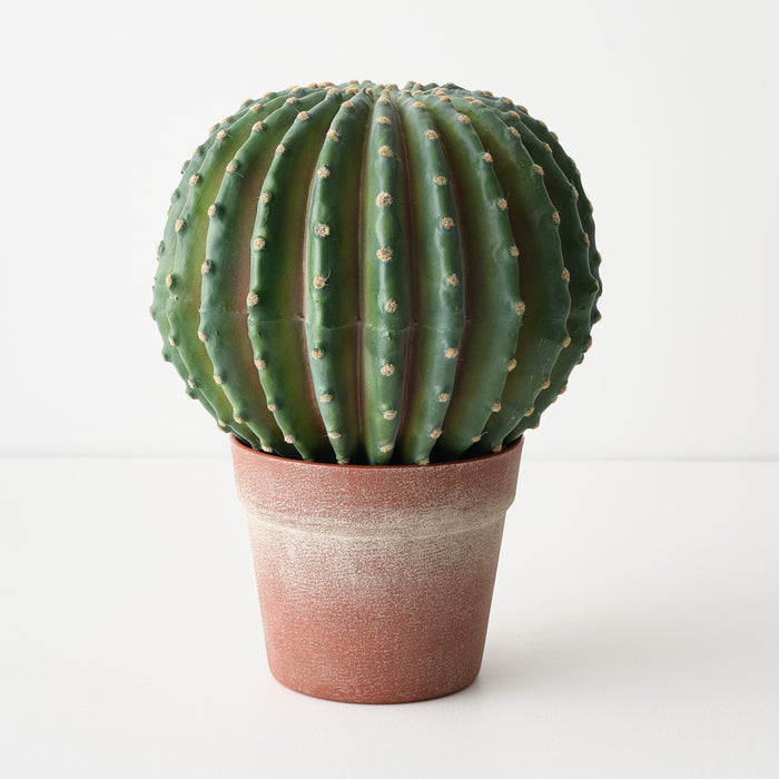 Cactus Barrel Plant Green 33cm