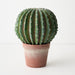 Cactus Barrel Plant Green 33cm
