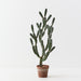 Cactus Peruvian Plant Green 106cm