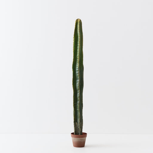 Cactus Column Plant Light Green 138cm