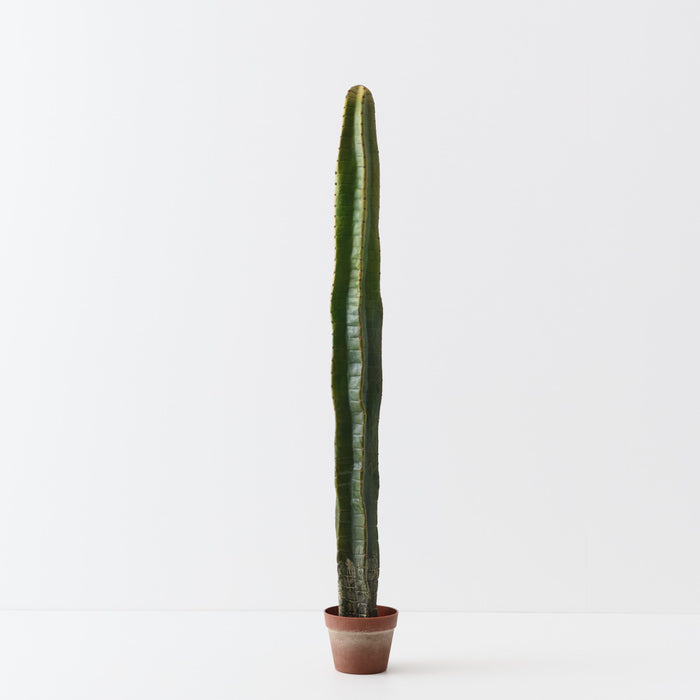 Cactus Column Plant Light Green 138cm